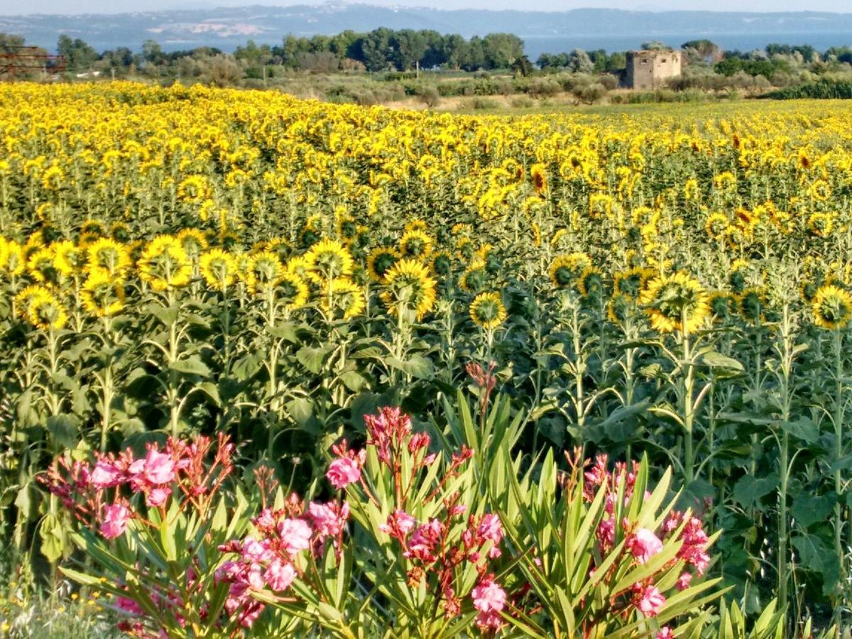 Agriturismo La Villetta San Lorenzo Nuovo Экстерьер фото