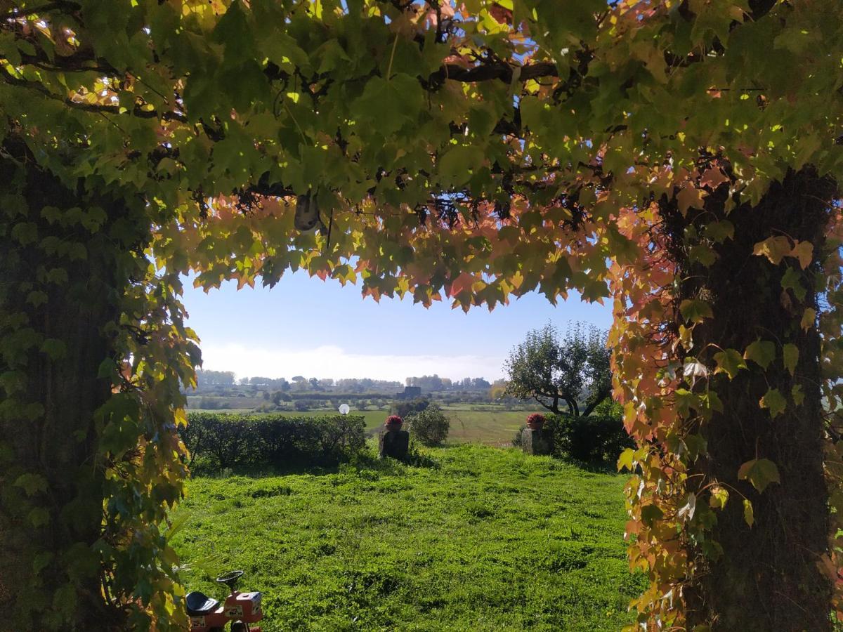 Agriturismo La Villetta San Lorenzo Nuovo Экстерьер фото