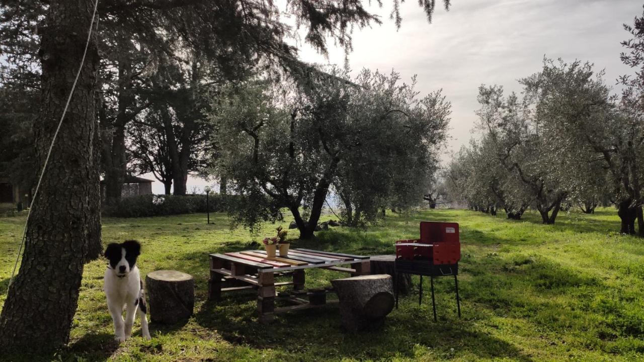 Agriturismo La Villetta San Lorenzo Nuovo Экстерьер фото