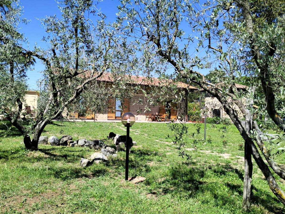 Agriturismo La Villetta San Lorenzo Nuovo Экстерьер фото